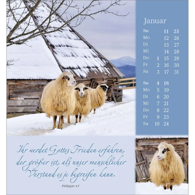 Sei behütet und geborgen - Impulse und Gedanken aus Psalm 23 - Aufstellkalender