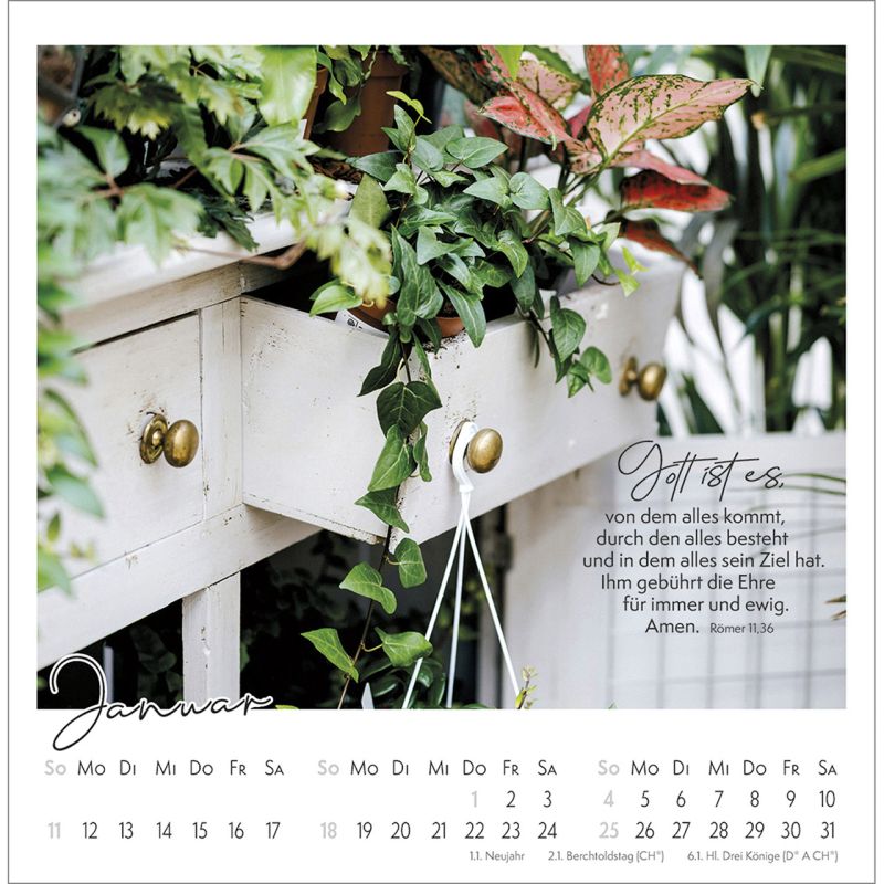 Kleine Auszeit im Grünen - Die Vielfalt der Schöpfung entdecken - Postkartenkalender