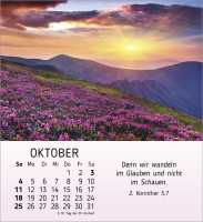 Schönheit des Lichts - Tischkalender