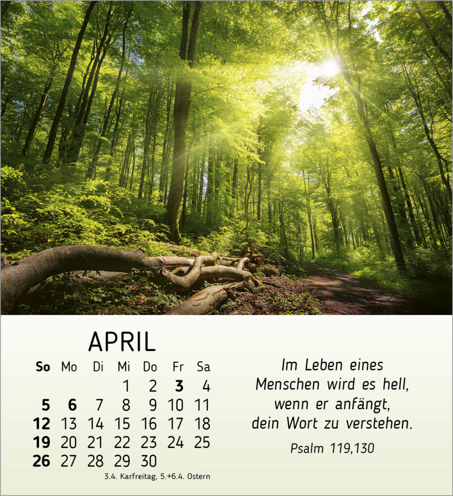 Schönheit des Lichts - Tischkalender