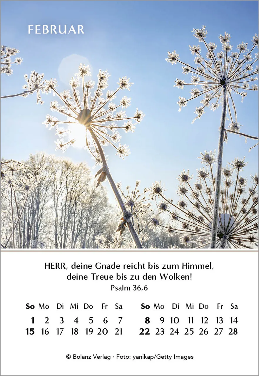 Ein Jahr der Hoffnung - Mini-Aufstellkalender