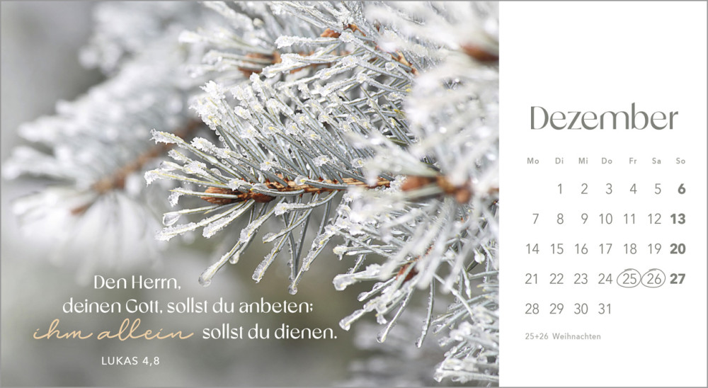 Augenblicke der Anbetung - Postkartenkalender mit Blumenfotos