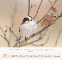 Gesichter der Natur - Wandkalender