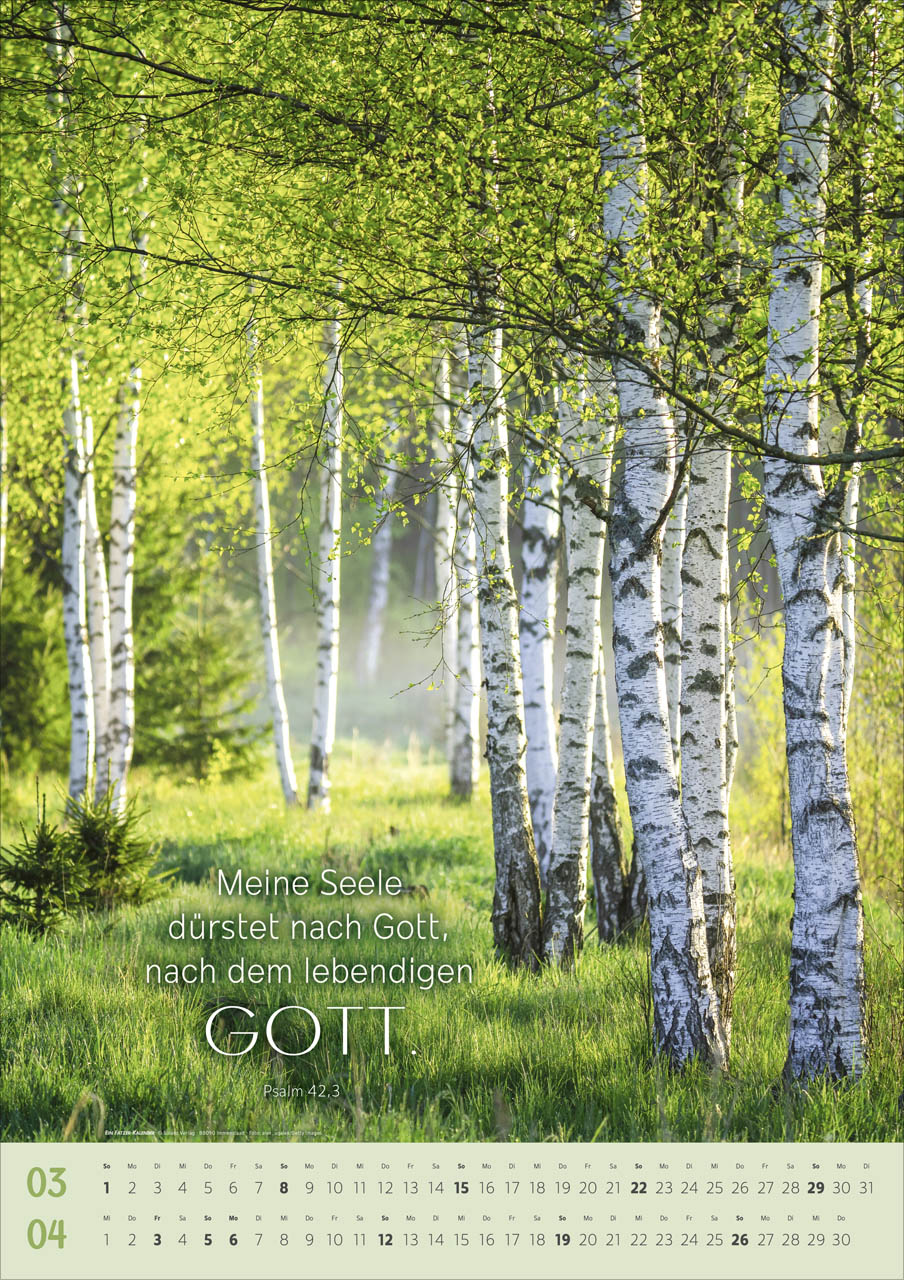 Wunder der Schöpfung - Super-Wandkalender mit 6 Postern