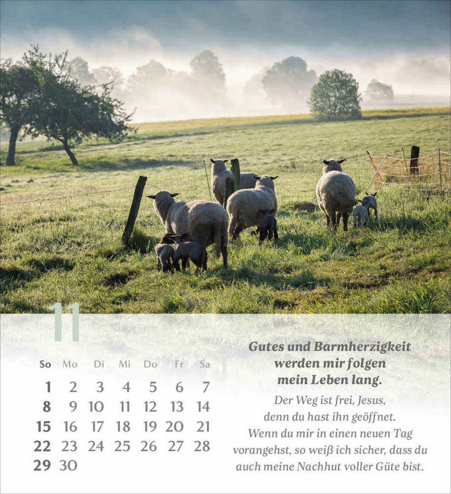 Psalm 23 - Der Herr ist mein Hirte - Tischkalender