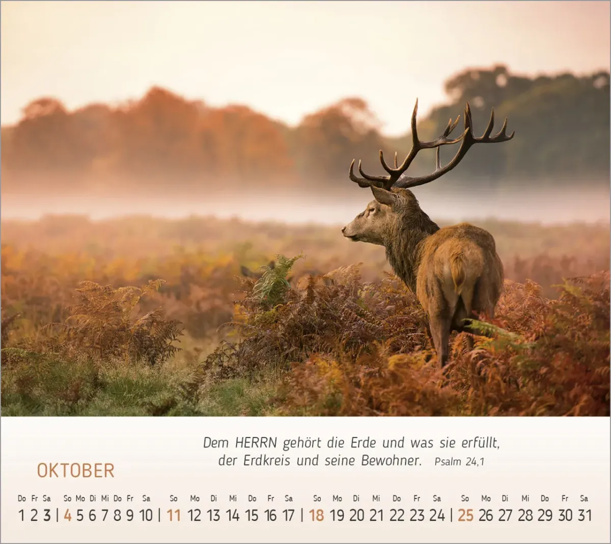 Foto Träume - Tischkalender