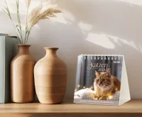 Katzen - Tischkalender