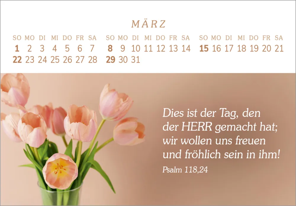 Das Geschenk der Freude - Panorama-Tischkalender