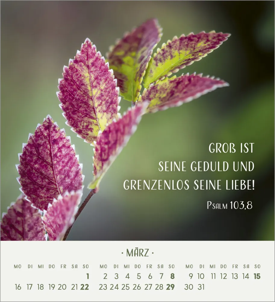 Zarte Blumengrüsse - Tischkalender