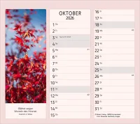 Vormerk-Kalender mit Sinnsprüche