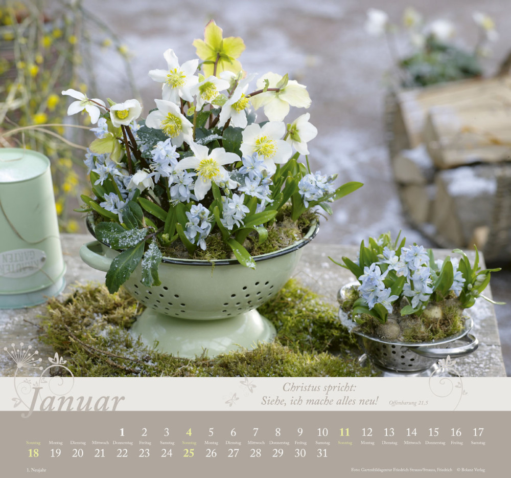 Im Garten zuhause - Wandkalender