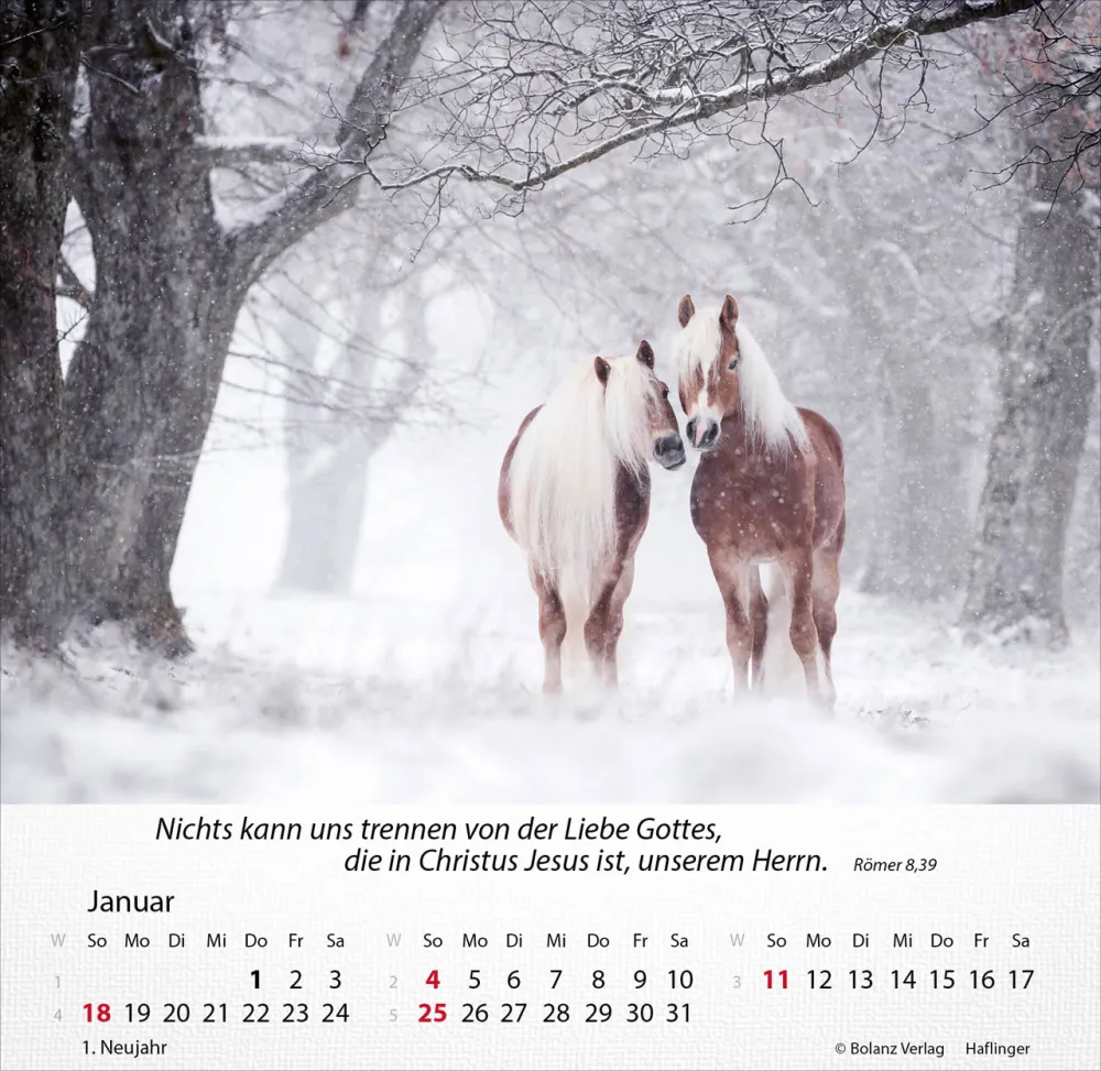 Kalender Pferde - Tischkalender
