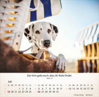 Kalender Hunde - Tischkalender