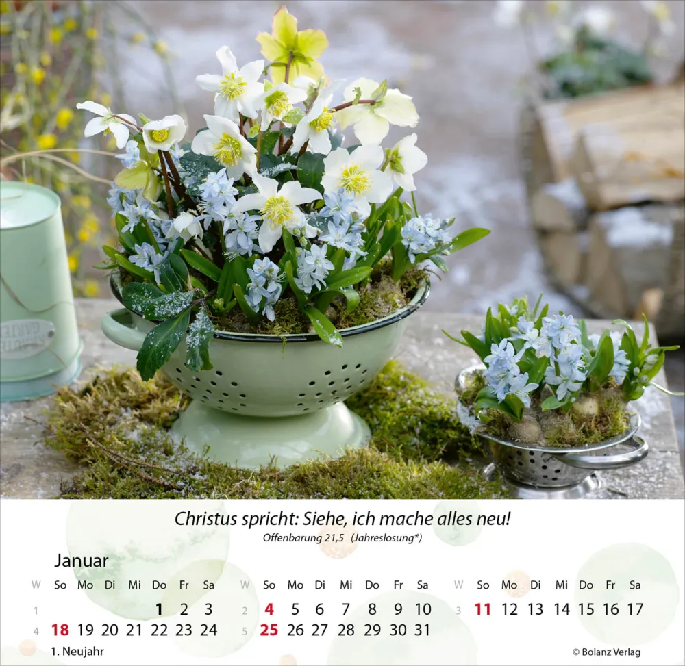 Gärten - Tischkalender