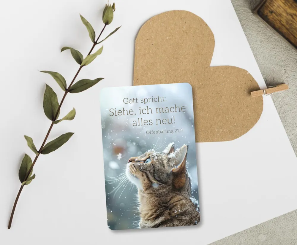 Kalender Kärtchen - Katze (Jahreskalender)