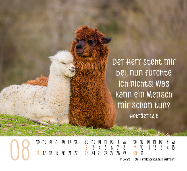 Kalender Begegnungen - Minikalender