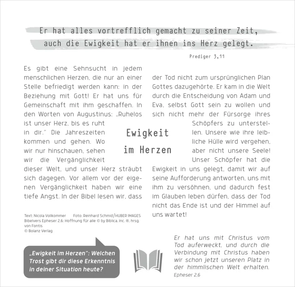 Weg-Licht-Leben - Tischkalender