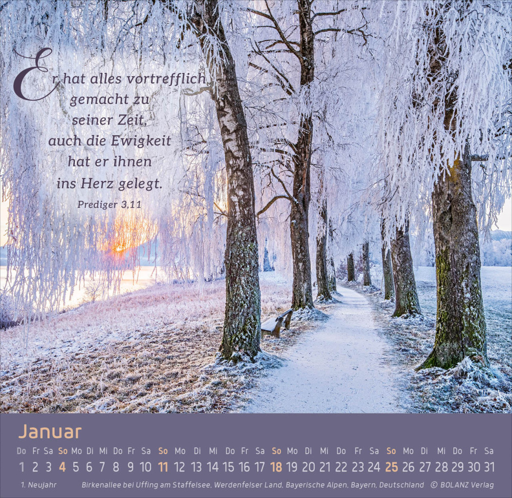 Weg-Licht-Leben - Tischkalender