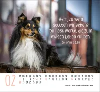 Kalender Hunde - Treue Wegbegleiter - Minikalender