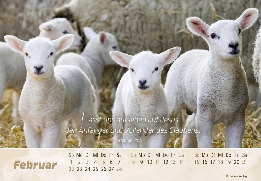 Der gute Hirte - Panoramakalender