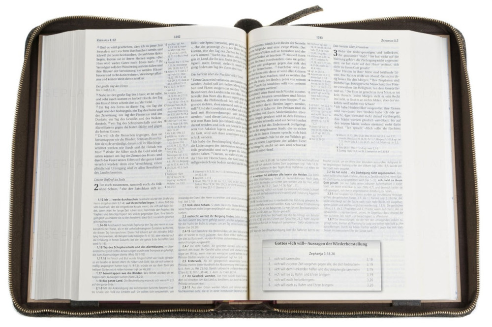 Étui pour Bible « Texas » pour Bible d'étude MacArthur