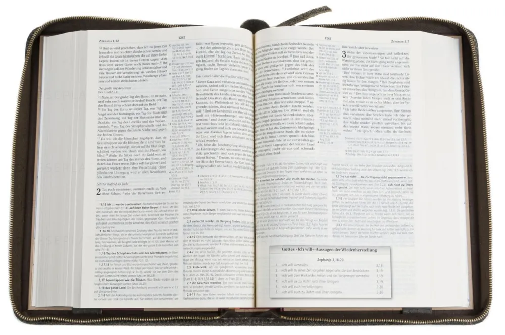 Étui pour Bible « Texas » pour Bible d'étude MacArthur