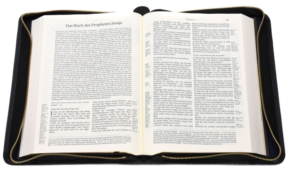 Édition standard Schlachter 2000 avec étui en cuir véritable - Étui en cuir véritable légèrement...