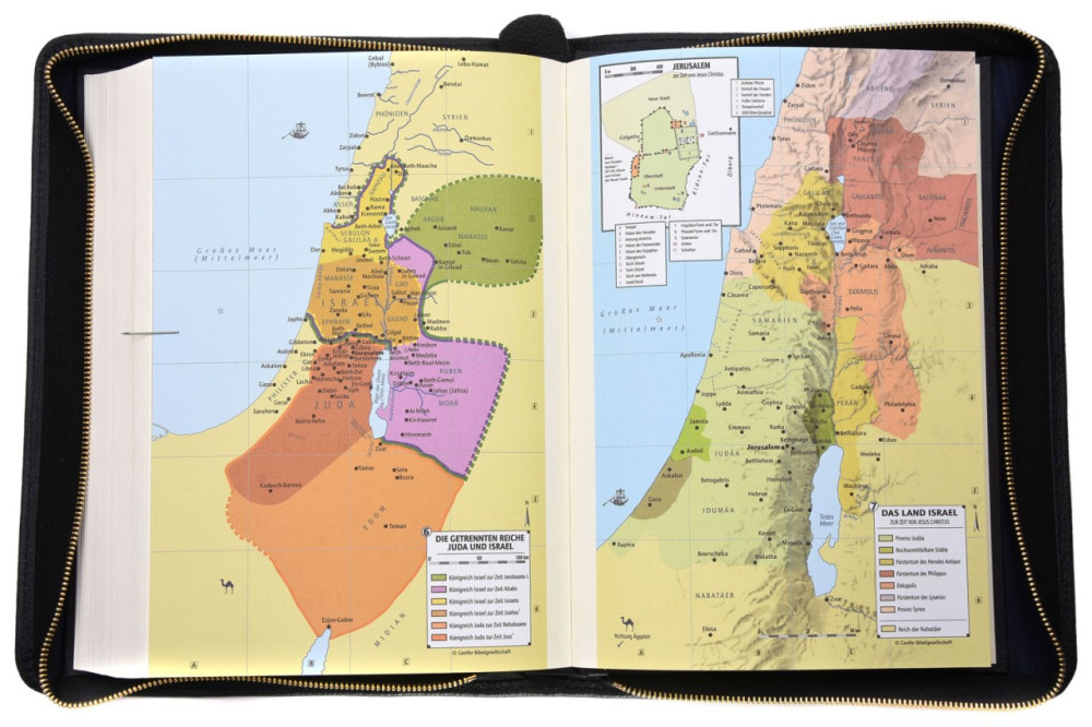 Édition standard Schlachter 2000 avec étui en cuir véritable - Étui en cuir véritable légèrement...