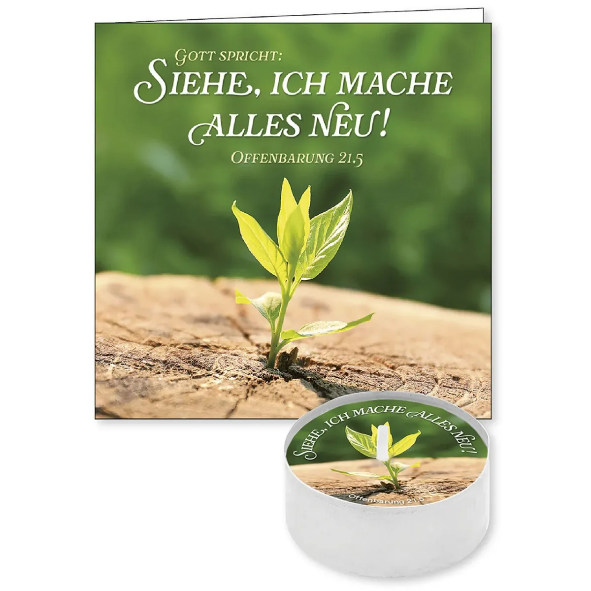 Gott spricht: Siehe, ich mache alles neu - Top-Motiv (Lichtgruß) - Jahreslosung 2026 - mit...