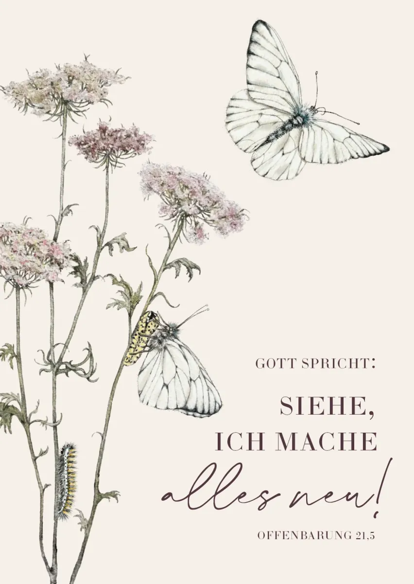 Gott spricht: Siehe, ich mache alles neu (10 Postkarten) - Jahreslosung 2026 - Motiv Rebekka...