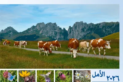 Arabisch - Deutsch, Bildkalender Hoffnung - Monatskalender