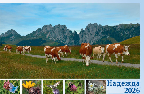 Bulgarisch - Deutsch, Bildkalender Hoffnung - Monatskalender