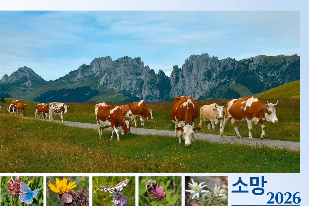 Koreanisch - Deutsch, Bildkalender Hoffnung - Monatskalender