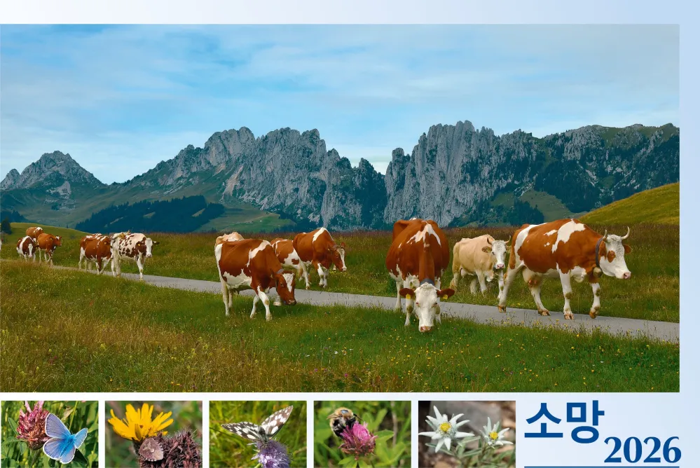 Koreanisch - Deutsch, Bildkalender Hoffnung - Monatskalender