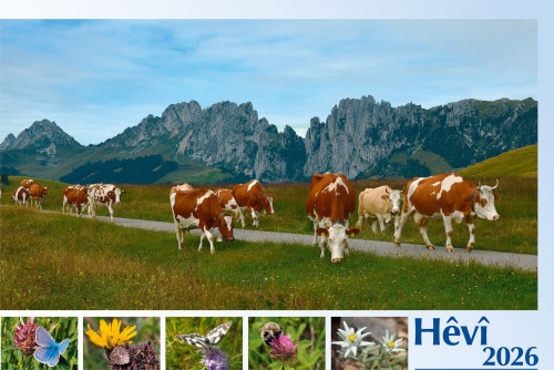 Kurdisch - Kurmandschi - Deutsch, Bildkalender Hoffnung - Monatskalender