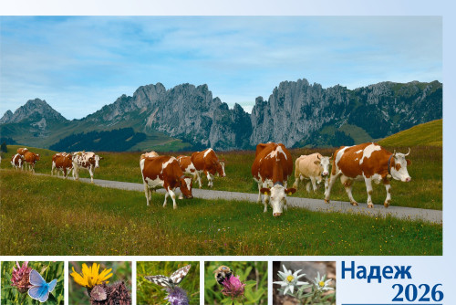 Mazedonisch - Deutsch, Bildkalender Hoffnung - Monatskalender