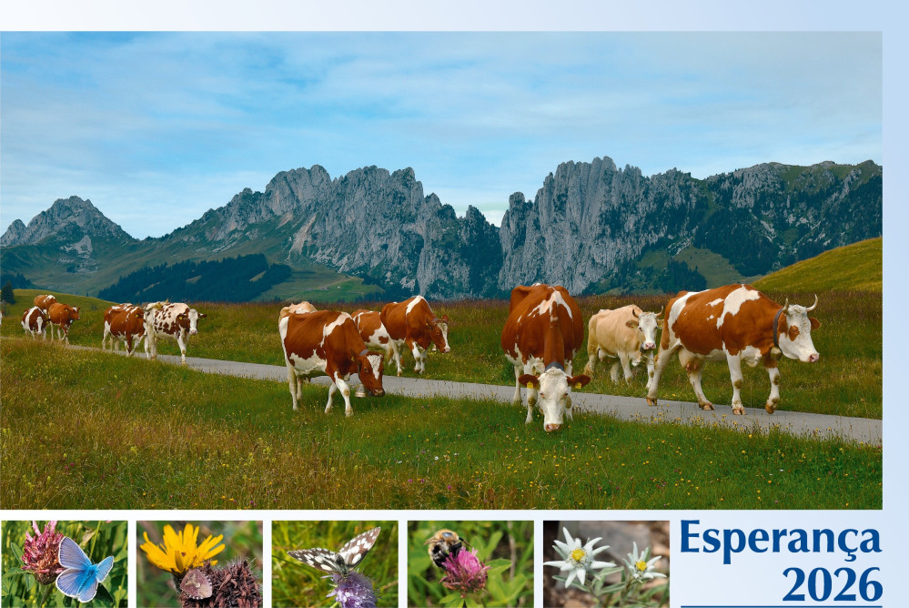 Portugiesisch - Deutsch, Bildkalender Hoffnung - Monatskalender