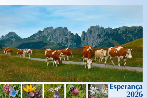 Portugiesisch - Deutsch, Bildkalender Hoffnung - Monatskalender