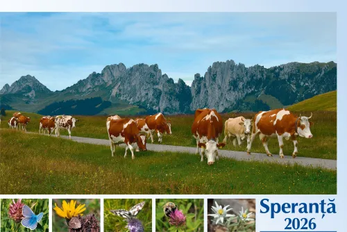 Rumänisch - Deutsch, Bildkalender Hoffnung - Monatskalender