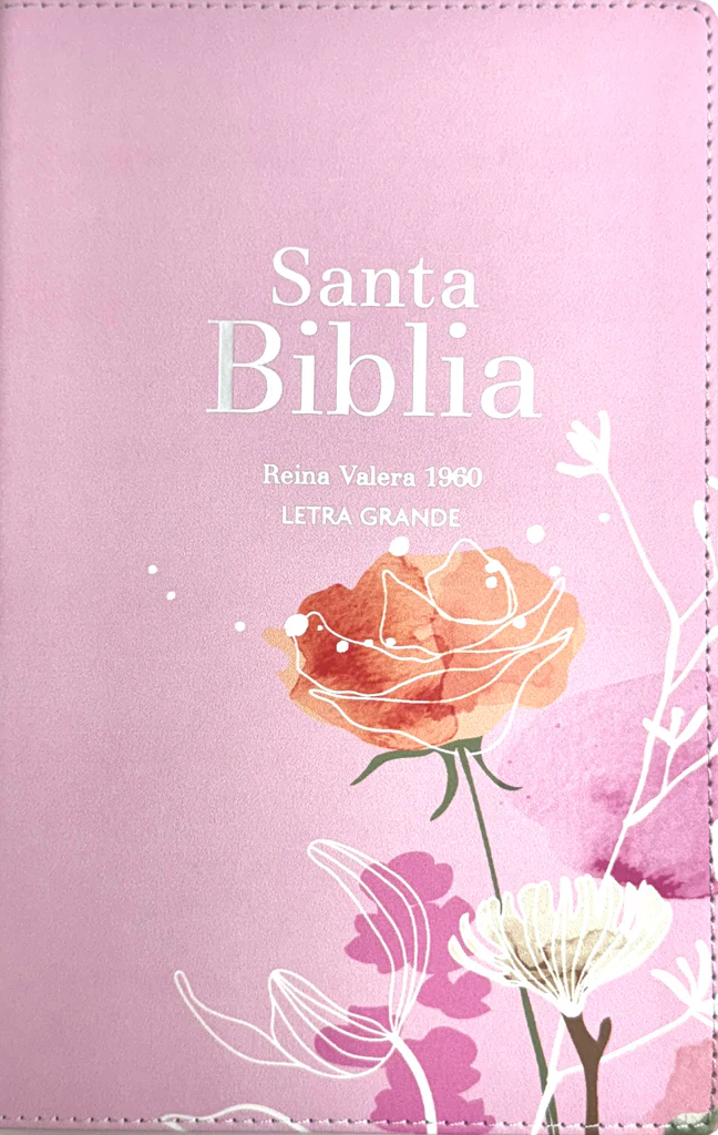 Espagnol, Bible, Reina Valera 1960, gros caractères, moyen format, similicuir rose clair, motifs...
