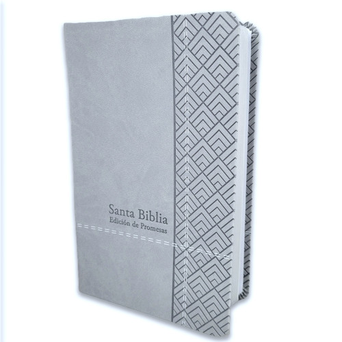 Espagnol, Bible, Reina Valera 1960, gros caractères, moyen format, similicuir gris clair - Biblia...
