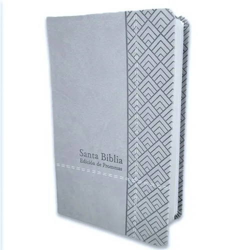 Espagnol, Bible, Reina Valera 1960, gros caractères, moyen format, similicuir gris clair - Biblia...
