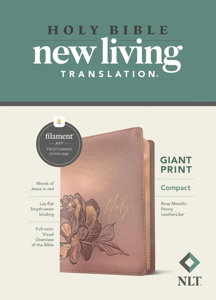Anglais, Bible, New Living Translation, très gros caractères, Filament Edition, similicuir rose...