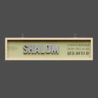 Cementini Wandbild SHALOM 1.Sam 1,17 - aus Holz & Betonbuchstaben