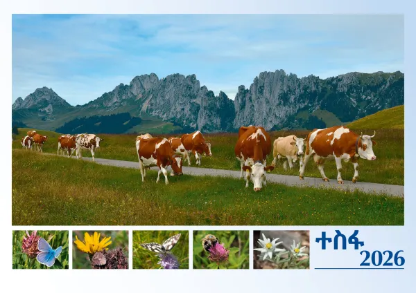Amharisch-Deutsch, Bildkalender Hoffnung