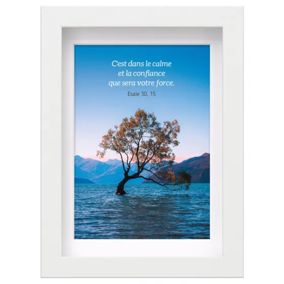 Mon Cadre Inspiration - Arbre au milieu d'un lac