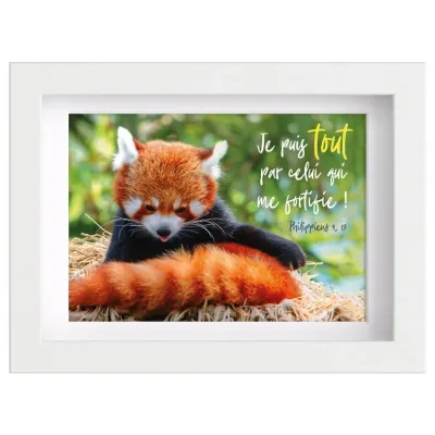 Mon Cadre Inspiration - Panda roux