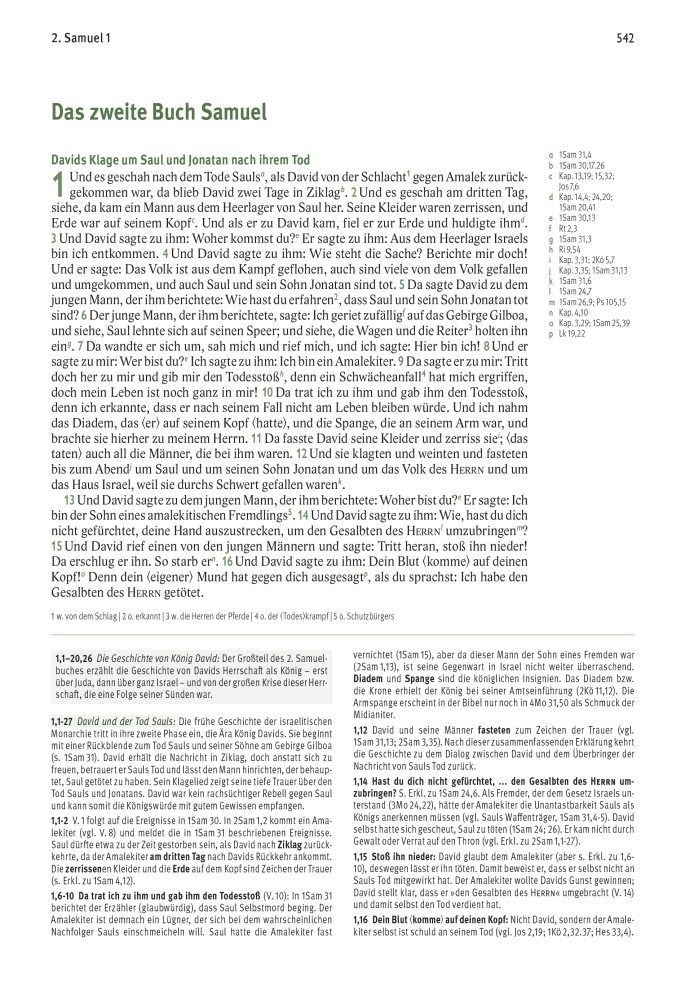 Elberfelder Bibel - Kunstleder - Die große Studien- und Kommentarausgabe