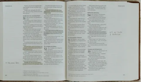 Sconi Bibel Bibel mit Olivenzweig - rotbraun mit Schreibrand