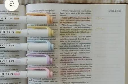 Zebra Mildliner Highlighter "Frühling" - (Filzstifte können durchdrücken je nach Gebrauch!)